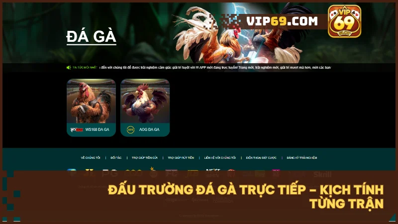 VIP69 - Thế giới game bài và đổi thưởng trực tuyến hàng đầu Việt Nam 43 Trận đá gà trực tiếp HD, căng thẳng và kịch tính như đấu trường thực.