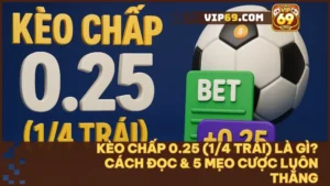 Tổng kết kinh nghiệm và lưu ý quan trọng khi chơi kèo chấp 0.25 tại VIP69
