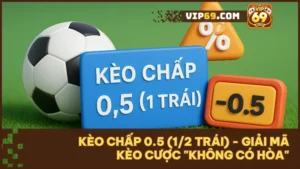 Kèo chấp 0.5 là gì - Hướng dẫn "về bờ" an toàn cho người mới từ a-z