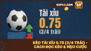 Hướng dẫn chơi kèo tài xỉu 0.75 (3/4) từ a-z cho người mới